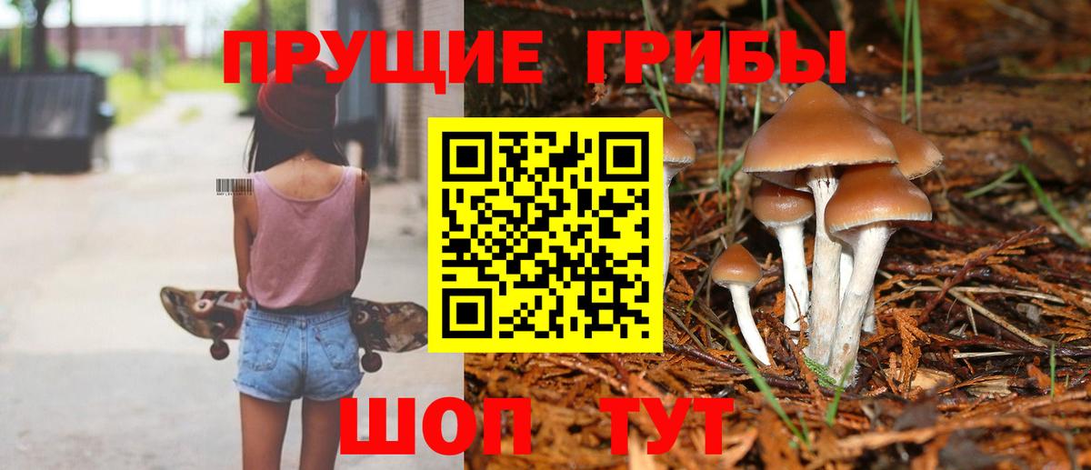 Сочи  Псилоцибиновые грибы Magic Shrooms  Вход с VPN 
